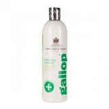 CHAMPU CARR&DAY&MARTIN ANTISEPTICO MEDICADO 500ML
