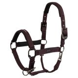 CABEZADA DE CUADRA BR Eevolv Halter Josh