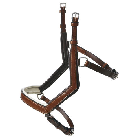 CABEZADA MODENA BUSSE