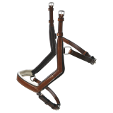 CABEZADA MODENA BUSSE