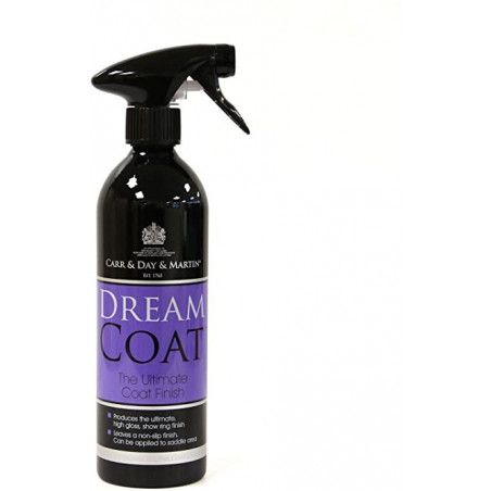 BRILLO FINAL Dreamcoat lSpray 500ml