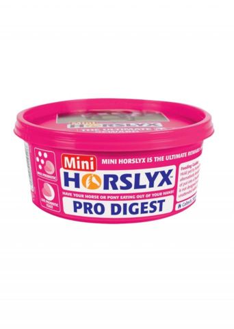 CARAMELO HORSLYX DIGESTION,ROSA