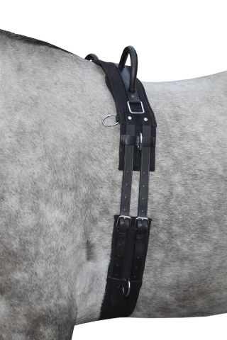 Cinchuelo -Canvas- con mango