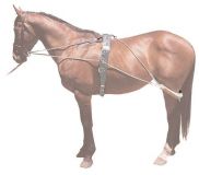 SISTEMA ENTRENAMIENTO PESSOA