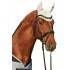 MOSQUEO HKM PARA CABALLOS