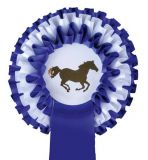 ESCARAPELAS DE CONCURSO -3- HKM