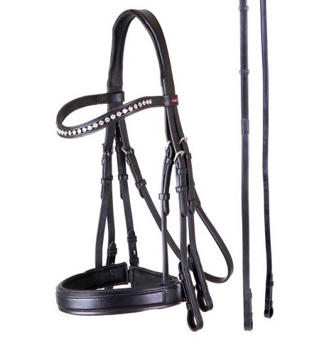 CABEZADA PREMIERE WEYMOUTH