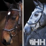 Cabezada filete y bocado Rambo Micklem Horseware m