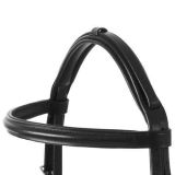 CABEZADA LEXHIS GREEN FRIDA