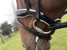 CABEZADA  EQUORUM EINDHOVEN DE FILETE METALIZADA