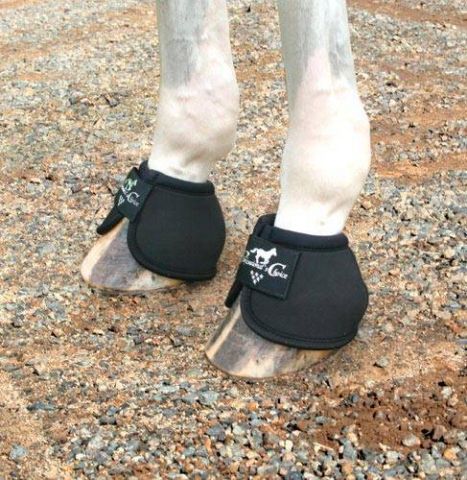 CAMPANA PROFESSIONAL'S CHOICE CORDURA (PAR)