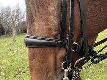 Cabezada Equorum Hannover doble rienda negro/negro