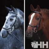 CABEZADA RAMBO MICKLEM COMPETITION BRIDLE (SIN RIE