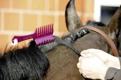 PEINE PARA TRENZAS TOPZOP BUSSE