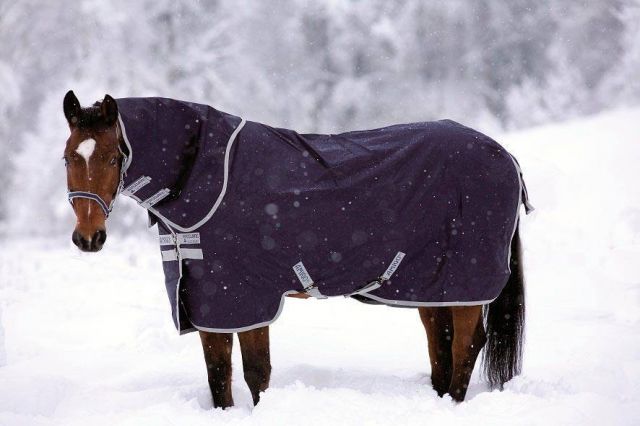 CUBRECUELLO AMIGO BRAVO 12 ACOLCHADO E IMPERMEABLE