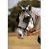 ENGANCHE HH KEIFFER COLLARIN TRONCO NEGRO