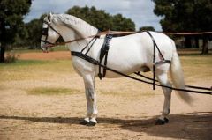 ENGANCHE HH ROSTOCK PECHERIN LIMONERA NEGRO