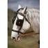ENGANCHE HH ROSTOCK PECHERIN LIMONERA NEGRO