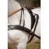 ENGANCHE HH ROSTOCK PECHERIN LIMONERA NEGRO