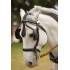 ENGANCHE HH SIEGEN COLLARIN LIMONERA NEGRO