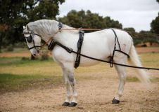 ENGANCHE HH SIEGEN COLLARIN LIMONERA NEGRO