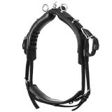 ENGANCHE LEXHIS BONN BIOTHANE COLLARIN LIMONERA NE