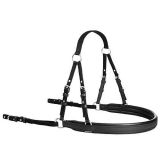 ENGANCHE LEXHIS BONN BIOTHANE COLLARIN LIMONERA NE