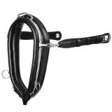 ENGANCHE LEXHIS BONN BIOTHANE COLLARIN LIMONERA NE