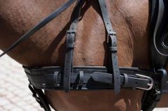 ENGANCHE LEXHIS DRESDE SINTETICO PECHERIN LIMONERA