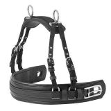 ENGANCHE LEXHIS HALLE BIOTHANE PECHERIN LIMONERA N