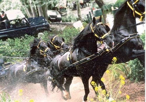 ENGANCHE ZILCO ZGB PECHERIN LIMONERA NEGRO