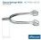 ESPUELA SPRENGER INOX HS-47425-100-55