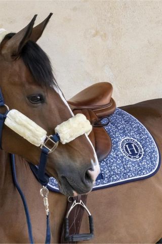 MANTILLA HARCOUR DOMA ALICE