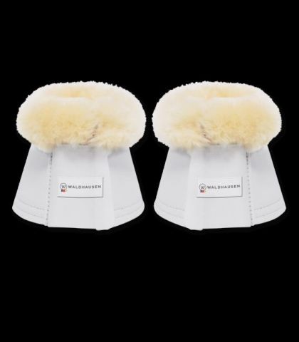 CAMPANA BORREGUITO WALDHAUSEN