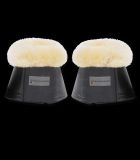 CAMPANA BORREGUITO WALDHAUSEN