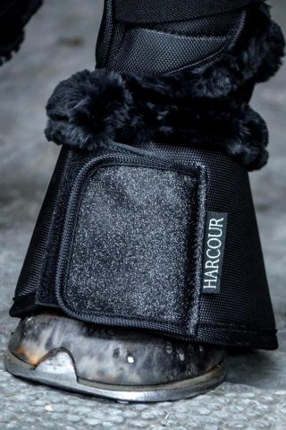 CAMPANAS BELLY HARCOUR