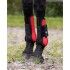 JUEGO 2 PROTECTORES TENDON QHP