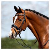 CABEZADA ANKY COMFORT FIT