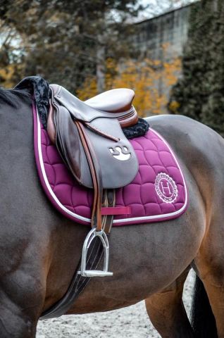 MANTILLA HARCOUR CARI