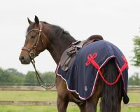 MANTA RIÑONERA POLAR QHP