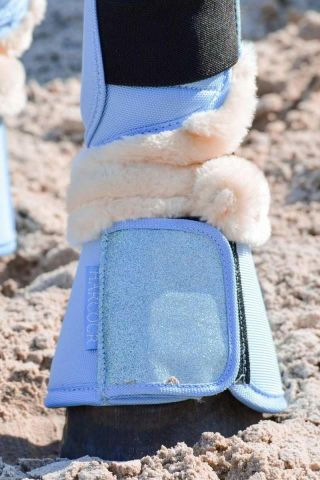 CAMPANA HARCOUR BELLY