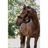 CABEZADA CUADRA FORRADA BORREGUILLO SINTETICO