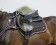 SALVADORSO MEMORY FOARM ELDORADO QHP