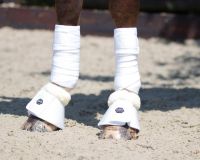 CAMPANAS QHP ONTARIO CON BORREGUITO