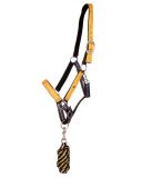 CONJUNTO CABEZADA DE CUADRA  Y RAMAL COLECCION VER