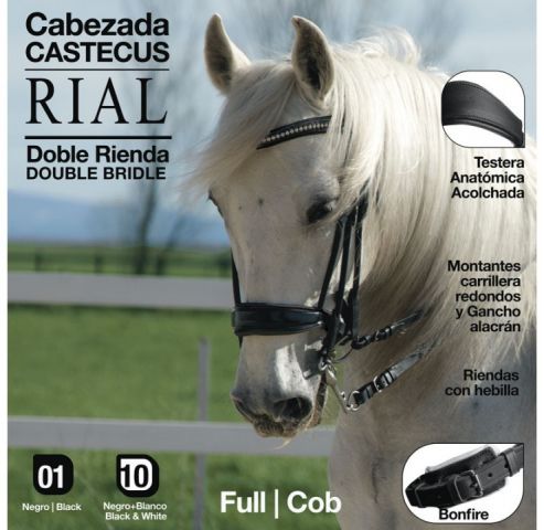 CABEZADA FILETE Y BOCADO ZALDI CASTECUS RIAL