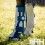 PROTECTORES HORSEWARE ANTI MOSCAS JUEGO DE 4