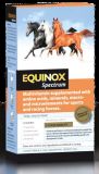 EQUINOX SPECTRUM  VITAMINICO 1L