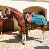 MANTA RIÑONERA IMPERMEABLE CON FORRO POLAR MARJOMA