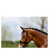 CABEZADA FILETE ANATOMICA ANKY CHAROL Y ALCOCHADA 